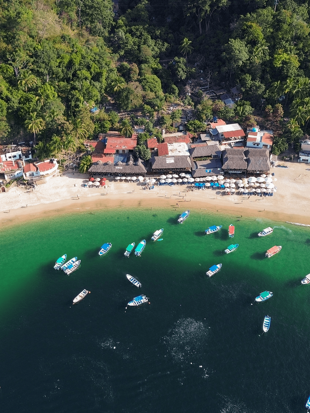 Las Animas: Seafood & Sailing