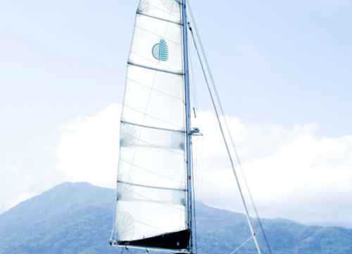 Catamaran Lagoon 40”